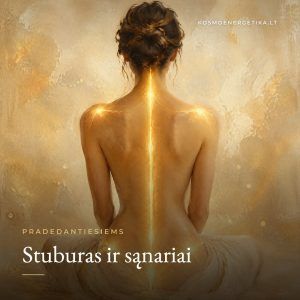 Stuburas ir sąnariai – Kosmoenergetika, Elė Soul