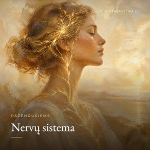 Nervų sistema – Kosmoenergetika, Elė Soul